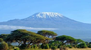 13 Tage Rundreise Safari